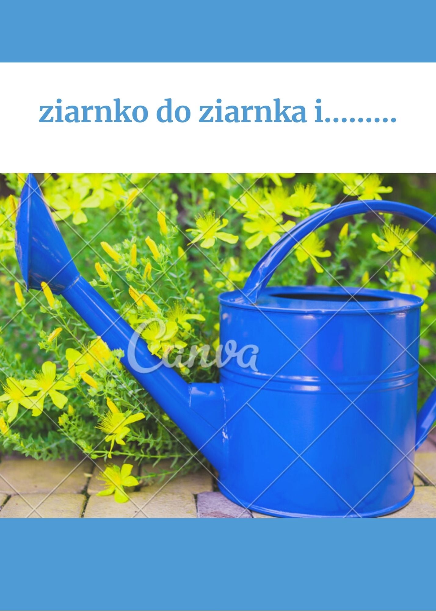 ziarnko do ziarnka 18 20210729 1578274236